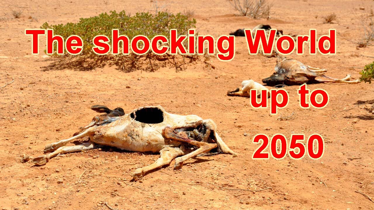 The Shocking Changes to our lives in the next 80 years