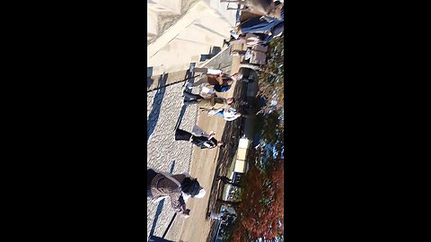 奈良県にいる鹿さんの映像