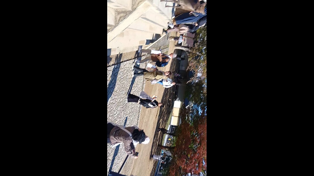 奈良県にいる鹿さんの映像