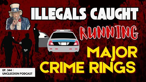 EP 344 | ILLEGALS CAUGHT RUNNING MAJOR CRIME RINGS | Illegals Busted in Major Crime Rings | Big Al