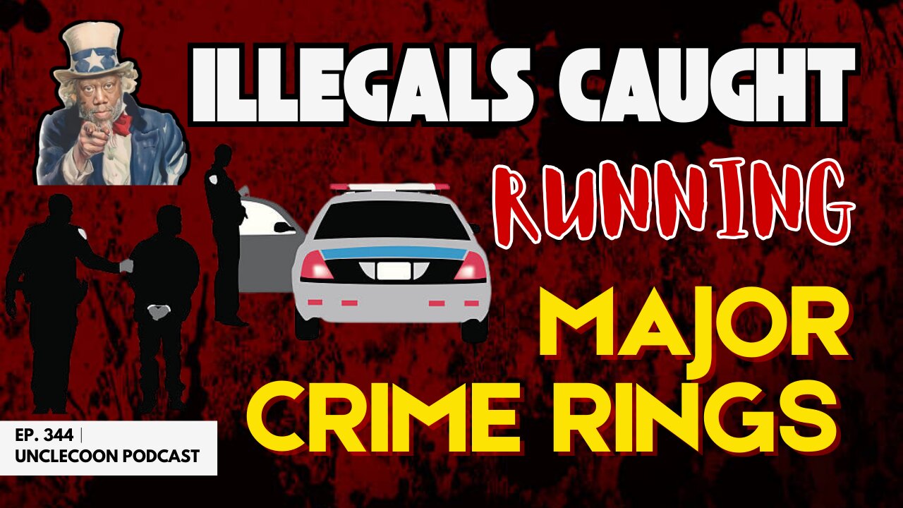 EP 344 | ILLEGALS CAUGHT RUNNING MAJOR CRIME RINGS | Illegals Busted in Major Crime Rings | Big Al