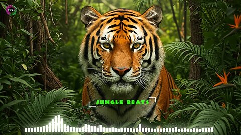 ♬♬ Jungle Beats Playlist - Instrumental - Percussion Drums - Tribal Dance - New Music 🔥 🔥