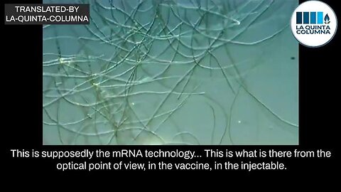 "Understanding Neural Networks: A Dive into mRNA and the Absence of Spike Proteins"