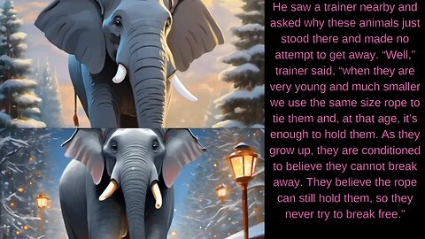 English Stories the elephant rope