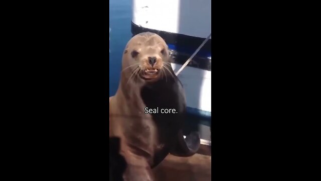 Seal core