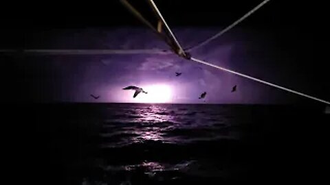 Man-Made Electrical Storms? Commercial Shrimping Gulf of America Florida's West Coast 🆘