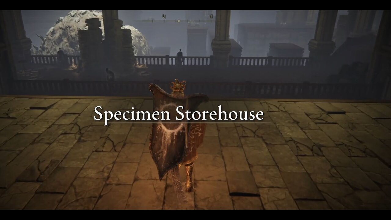 Elden Ring DLC (Shadow of the Erdtree) part 4