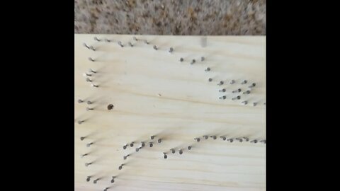 String art with lights in them.