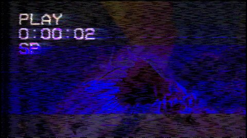 Ambience: Fish