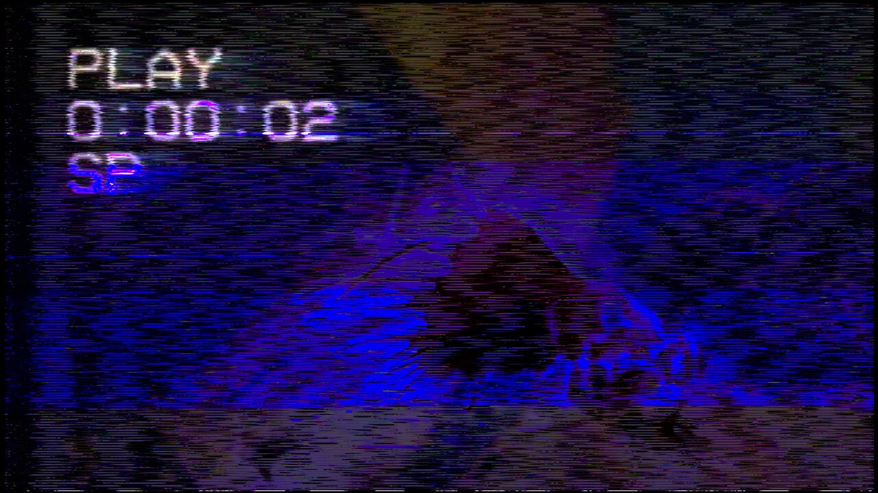 Ambience: Fish