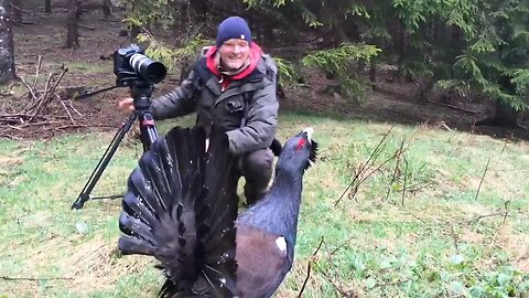 attack of bird to camera man
