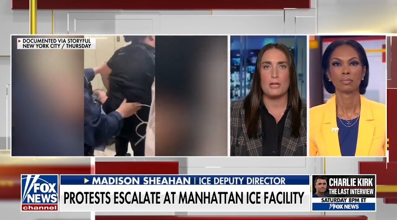 ICE Deputy Director: Dems Dangerous Rhetoric Is Causing the ICE Protests