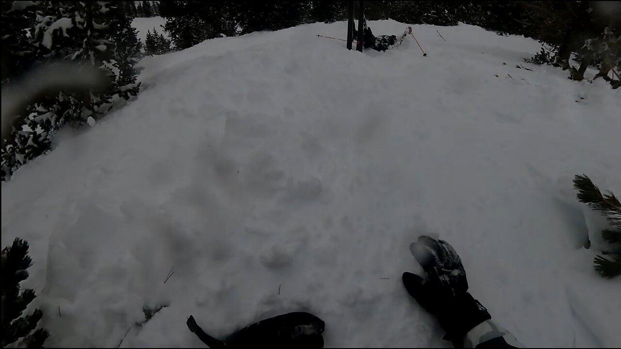 Tree Smacks and Icicles! | Snowboarding Compilation #3 (2023 - 2024 Season)