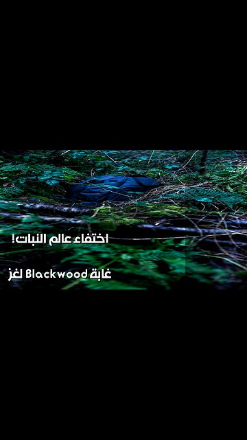 Blackwood Forest: Did a Monster Devour the Botanist? ️