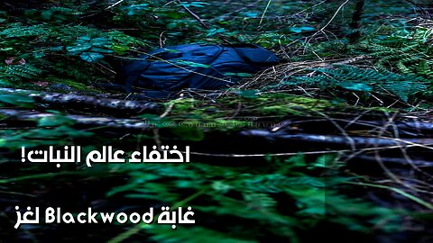 Blackwood Forest: Did a Monster Devour the Botanist? ️