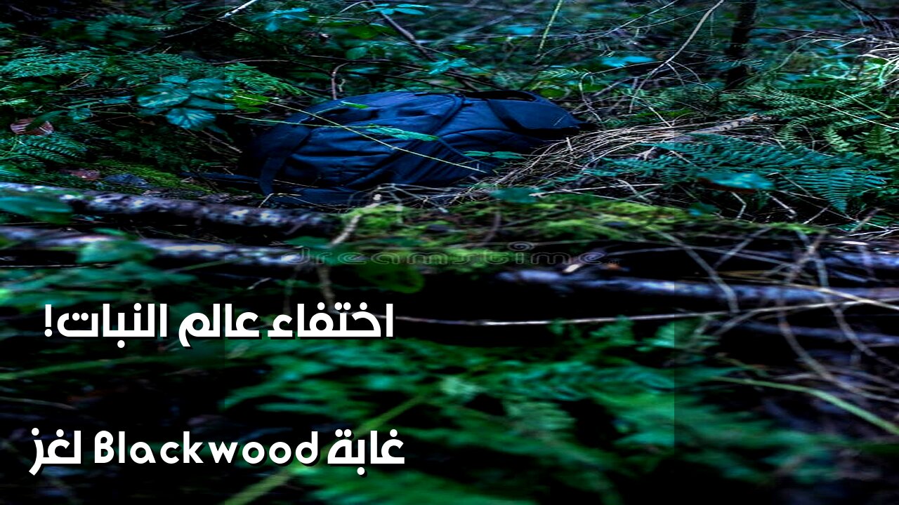 Blackwood Forest: Did a Monster Devour the Botanist? ️