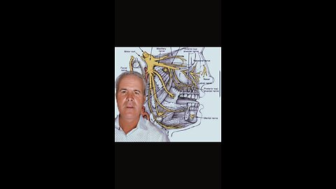 Teeth pressure and tingling and the neck connection | Neckwise upper cervical chiropractor
