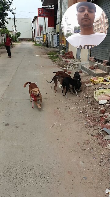 jivdaya mehsana 🥰🌹🥰🥰