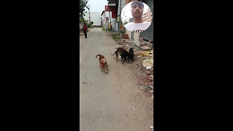 jivdaya mehsana 🥰🌹🥰🥰