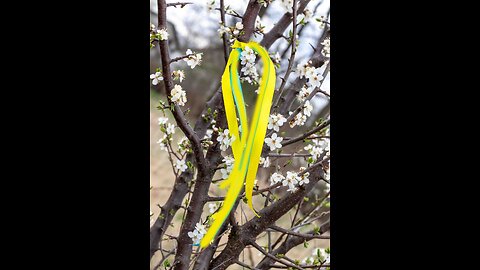 Tie a Yellow Ribbon