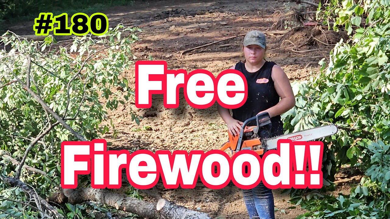 Salvaging Firewood Logs From Our Clearing Job❗️