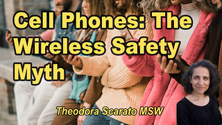 The Fairy Tale of Cell Phone & Wireless Safety: How to Protect Your Health