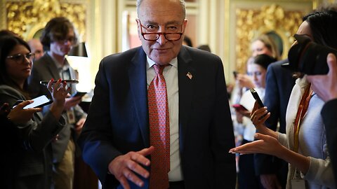 'PARTY OF PITCHFORKS': Dems revolt after Schumer's vote