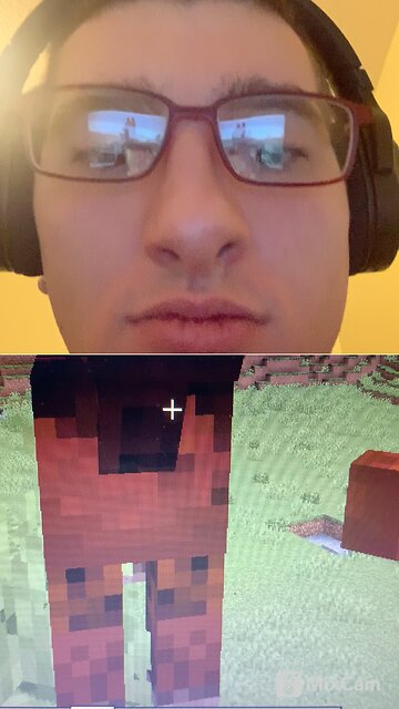 I got to feed the horses in Minecraft