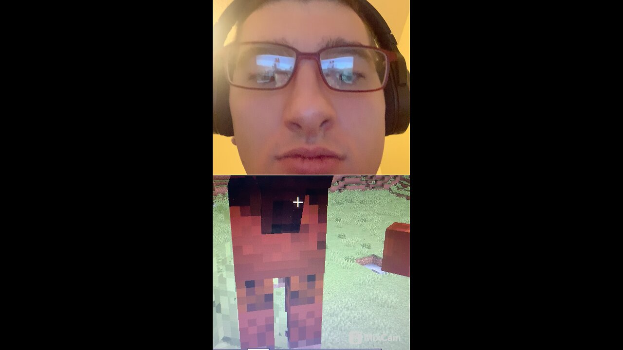 I got to feed the horses in Minecraft