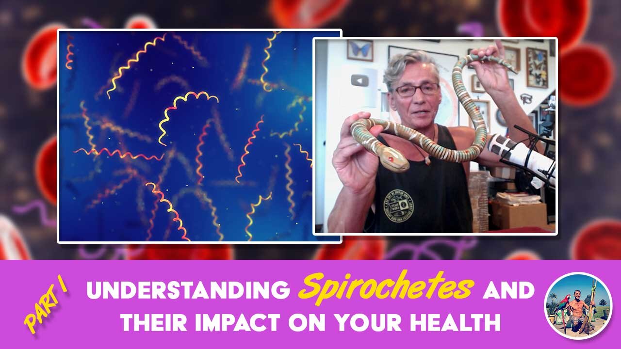 Understanding Spirochetes And Their Impact On Your Health Part 1 | Dr. Robert Cassar