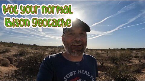Not your Normal Bison continer Geocache