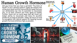 Human Growth Hormone Function