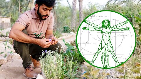 Ancient Medicine And Intelligent Design - The Secret World Of Herbs