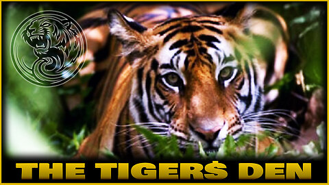 Tigers Den - 11 FEB 2025