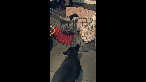 Baby Sees Her Great Aunt
