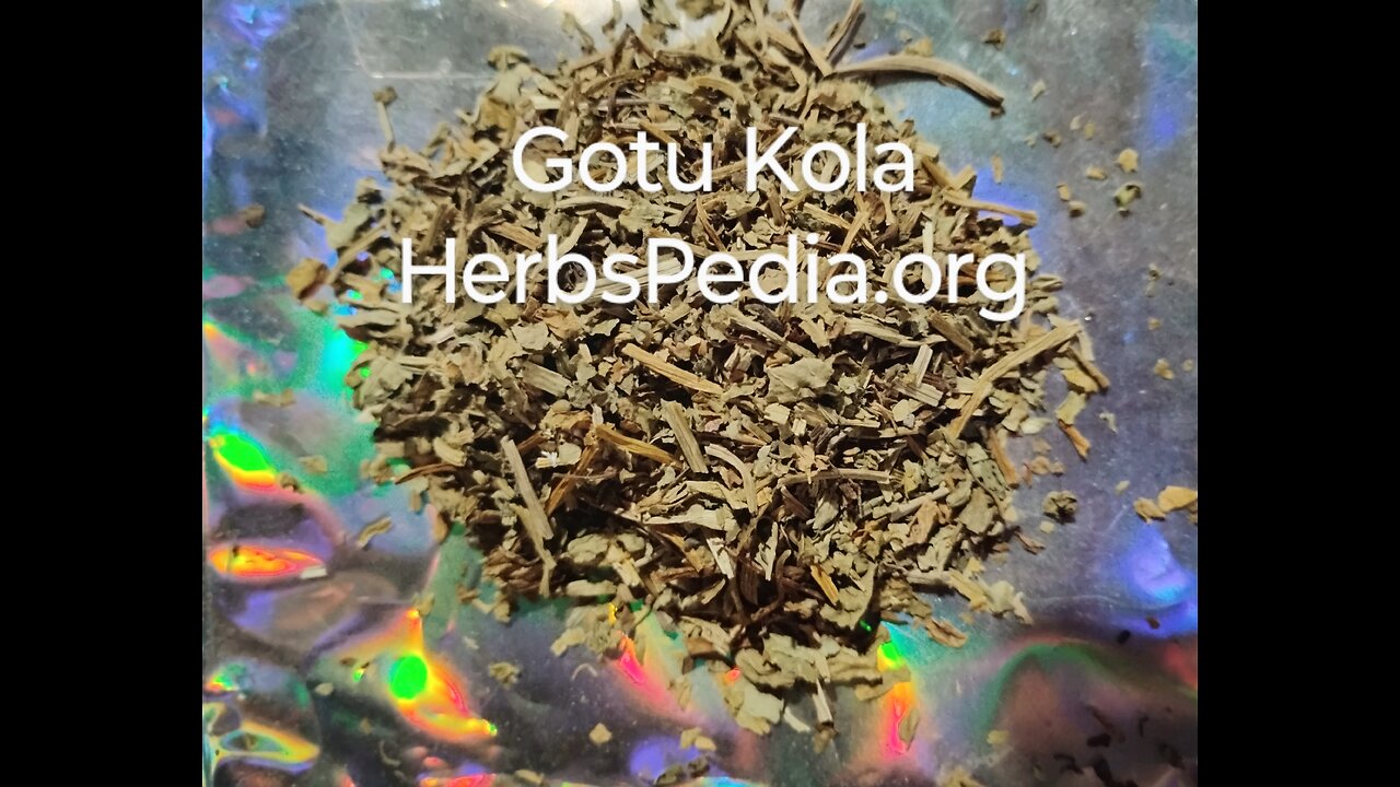 Quiz One on Gotu Kola herb.