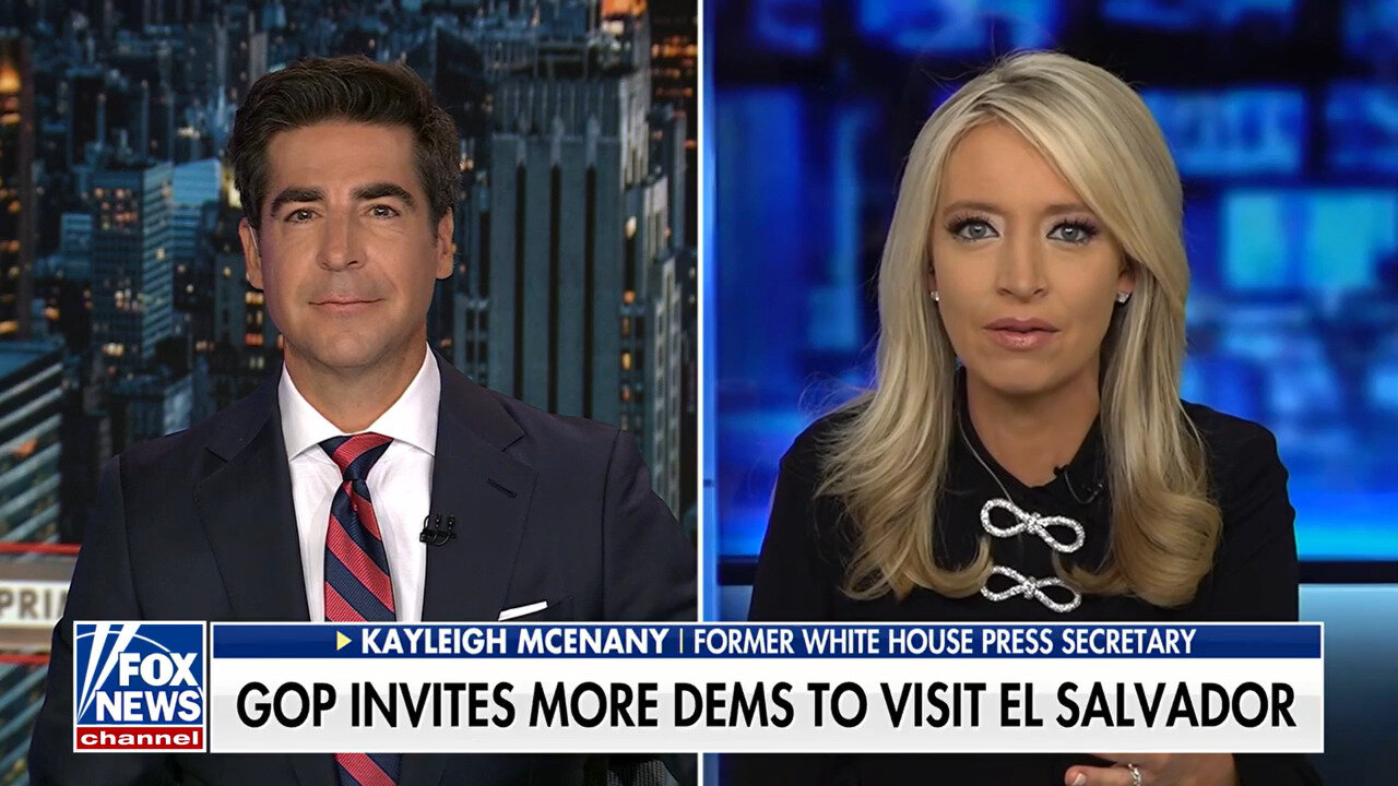 Kayleigh McEnany: DNC Should Mean 'Defending Non-Citizens'