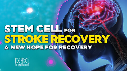 Stem Cells For Stroke Recovery. A New Hope For Recovery
