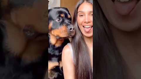 Funny Animals #funnyanimals #pets #animals #shorts