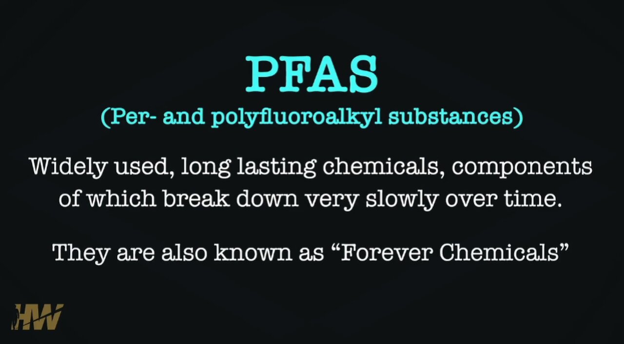 🚩How To Fortify Your GUT To Combat PFAS IN OUR BLOODSTREAM | The HighWire