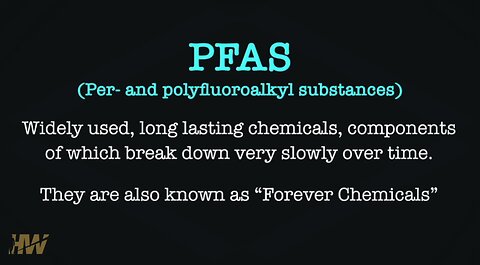 🚩How To Fortify Your GUT To Combat PFAS IN OUR BLOODSTREAM | The HighWire