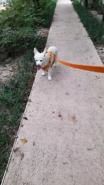 20250823. Jesus Christ.