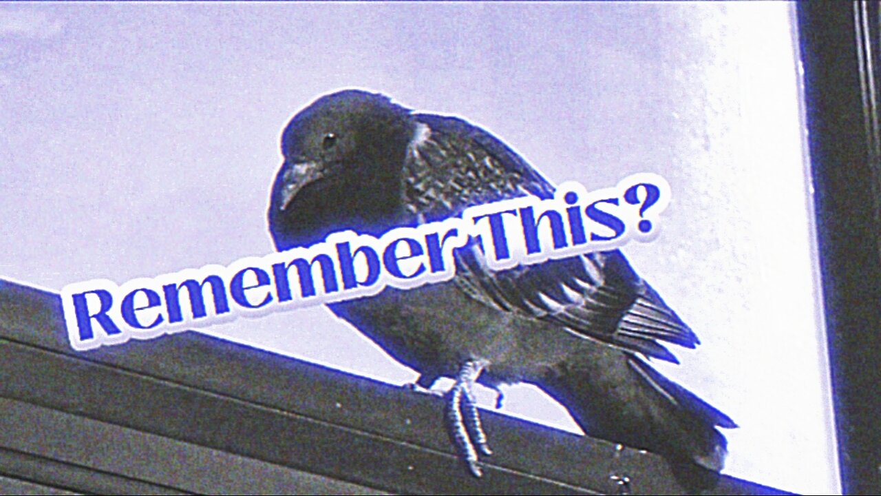 A Lot To Unpack 🤔