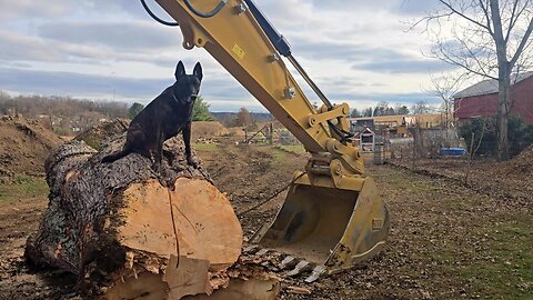 Moving STUFF On The HOMESTEAD! // Whitt Acres