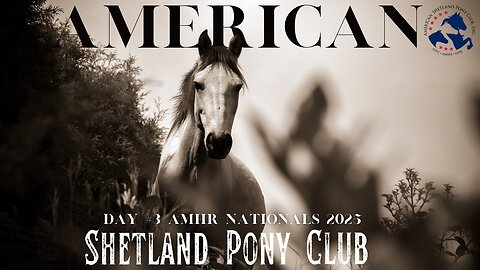 AMHR Nationals 2025 (Day #3) Mustang Arena 9/6/2025