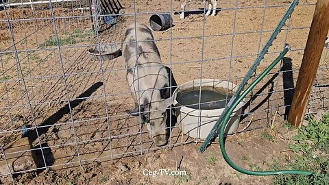 Graham Family Farm NW: 10:40 AM August 16 2025