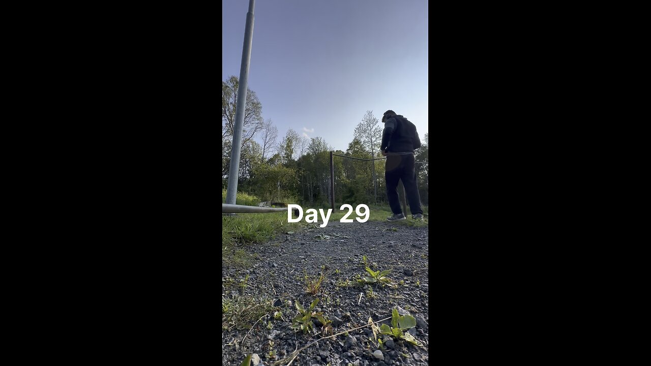Day 29. No talk. No excuses. Just war.