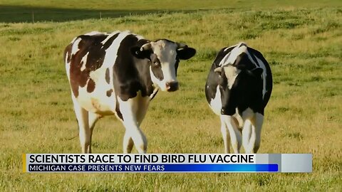 "Racing Against Time: Scientists' Strive to Unravel Bird Flu Mysteries"