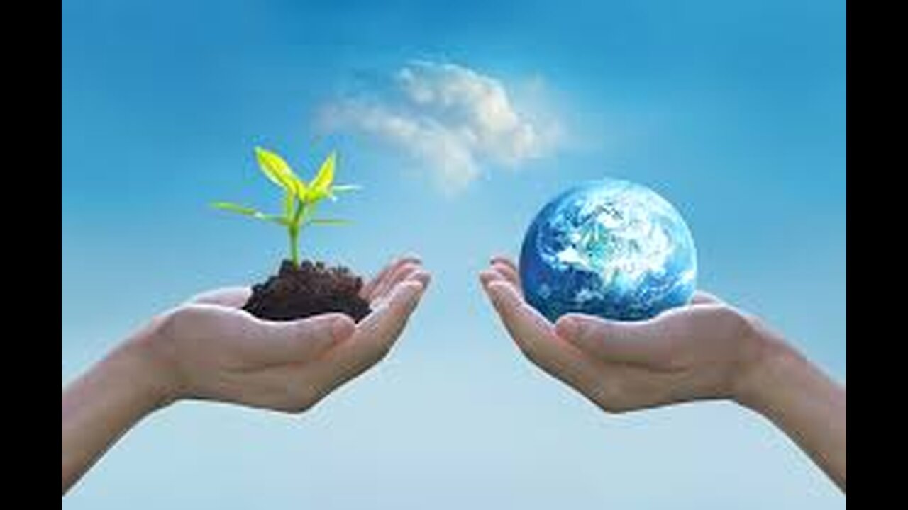 The Environment