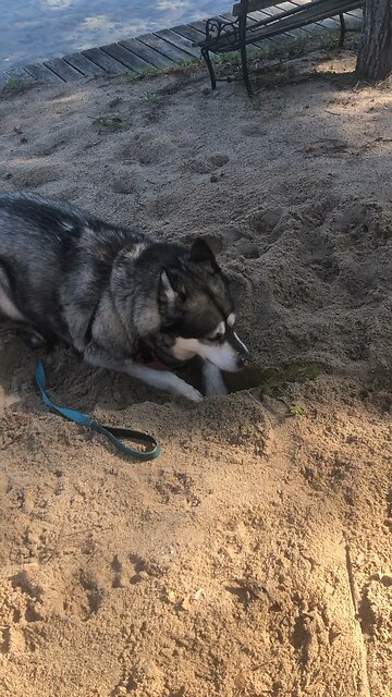 Wednesday May 7, God has come to save me.